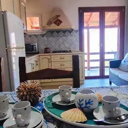 Antonio Rose Garden *