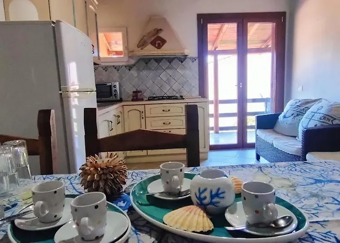 Antonio Rose Garden *